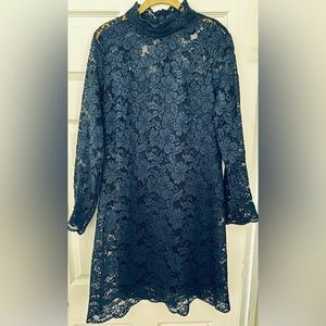 Navy Blue Sheer Lace Sheath Long Sleeved Dress